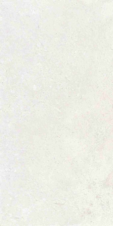 Petra Viva Bone Matte 12 x 24